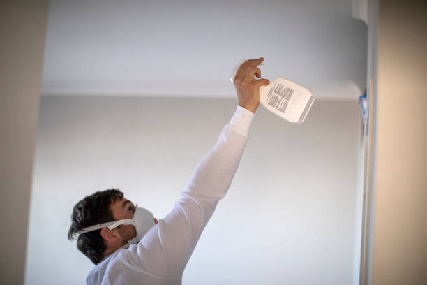 Best Commercial Mold Removal  in Independence, MN