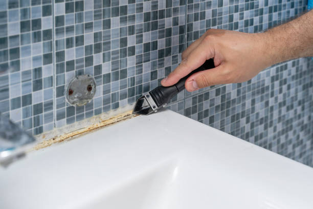 Best Mold Damage Repair  in Independence, MN